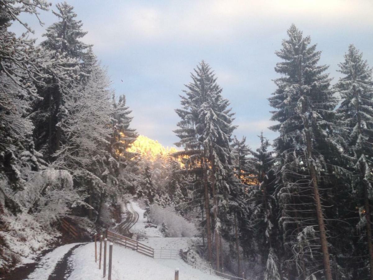 Reinwalds Almhuette Millstatt